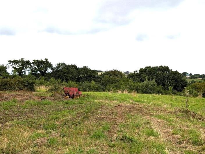 Image No.21-Maison de 4 chambres à vendre à Locarn