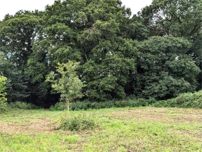 Image No.22-Maison de 4 chambres à vendre à Locarn