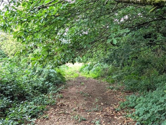 Image No.23-Maison de 4 chambres à vendre à Locarn