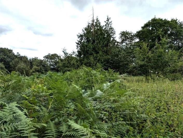 Image No.24-Maison de 4 chambres à vendre à Locarn