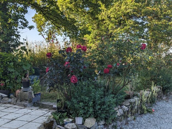 Image No.38-Maison de 2 chambres à vendre à Locarn