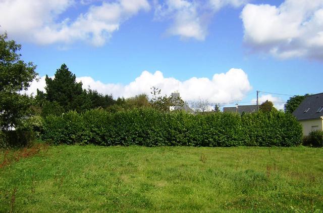 Image No.5-Land for sale