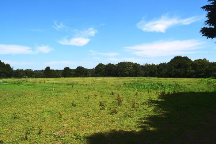 Image No.4-5 Bed House for sale