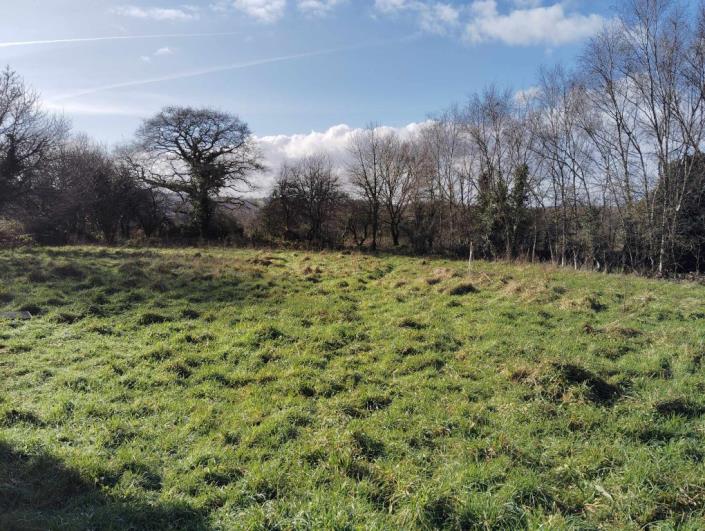 Image No.3-Maison de 3 chambres à vendre à Mellionnec