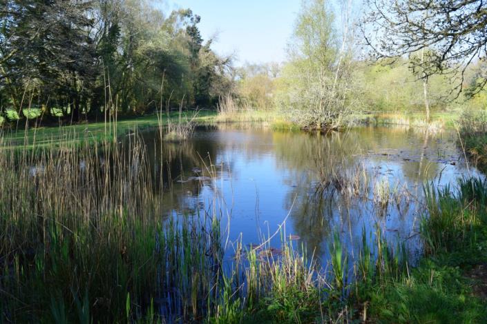 Image No.4-Maison de 3 chambres à vendre à Langoëlan
