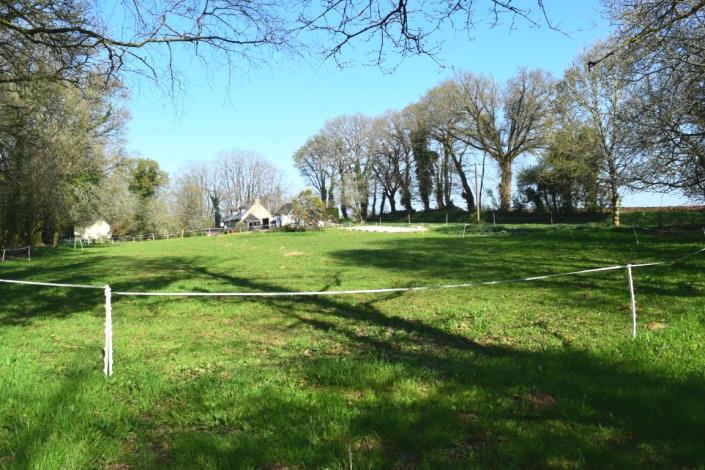 Image No.27-Maison de 3 chambres à vendre à Langoëlan
