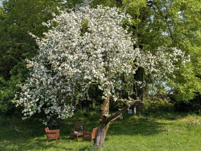 Image No.37-Maison de 3 chambres à vendre à Locarn