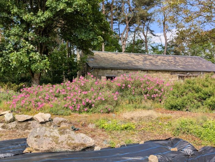 Image No.35-Gîte de 9 chambres à vendre à Plouaret