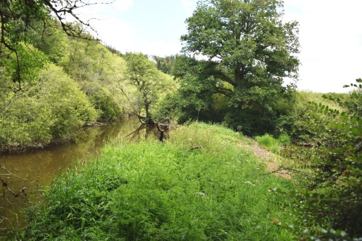 Image No.8-Maison de 3 chambres à vendre à Carhaix-Plouguer