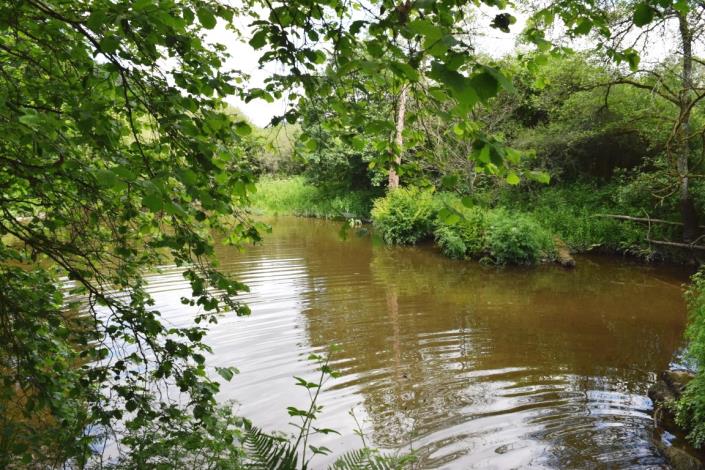 Image No.9-Maison de 3 chambres à vendre à Carhaix-Plouguer