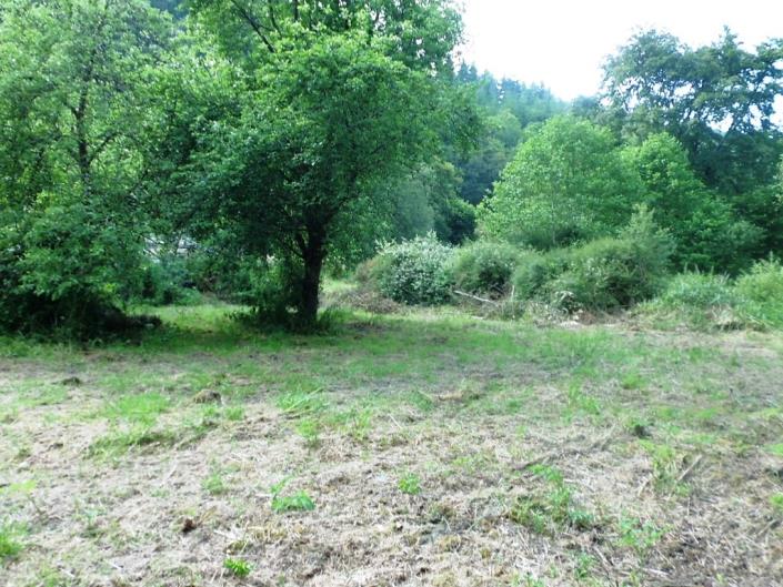 Image No.28-Maison de 3 chambres à vendre à Carhaix-Plouguer