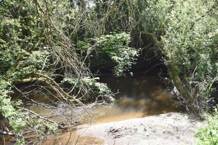 Image No.30-Maison de 3 chambres à vendre à Carhaix-Plouguer