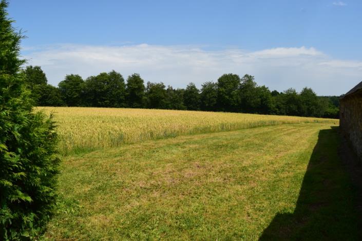 Image No.38-Maison de 11 chambres à vendre à Plouguenast