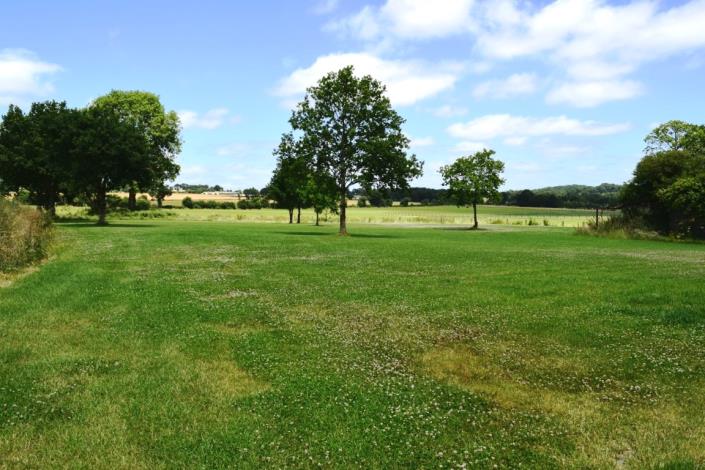 Image No.31-Maison de 5 chambres à vendre à Saint-Mayeux