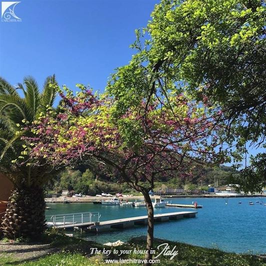 Image No.14-Villa de 2 chambres à vendre à Portovenere