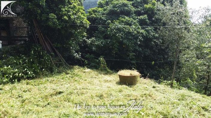 Image No.18-Maison de 3 chambres à vendre à Licciana Nardi