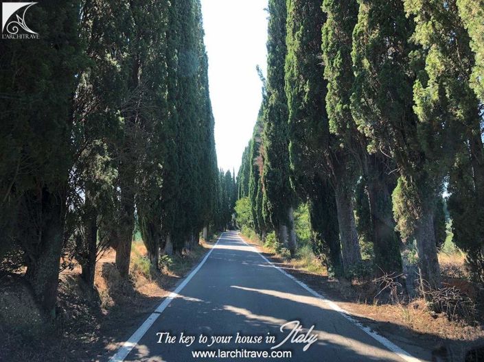 Image No.22-Maison de 4 chambres à vendre à Peccioli