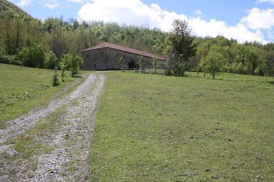 b3720f69-2c42-e381-df14-57d6a3cfedd7