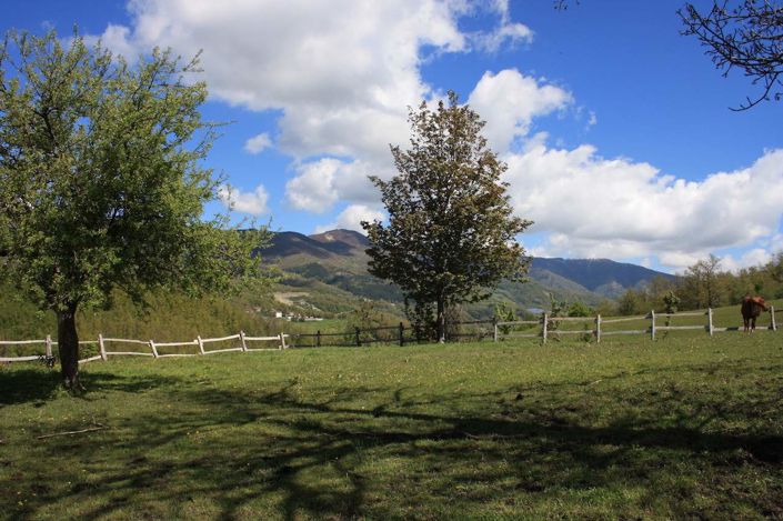 Image No.16-5 Bed Villa for sale