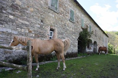 e9269bda-f453-5931-4f5c-dbad96b68bfe