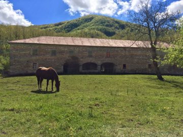 c49838e0-e032-8c62-21bb-4fa5089537c5