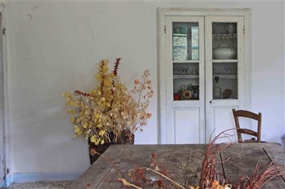 8403503d-d377-a45b-9bf6-e005eed296bc