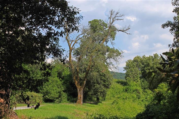 Image No.22-Villa de 15 chambres à vendre à Fivizzano