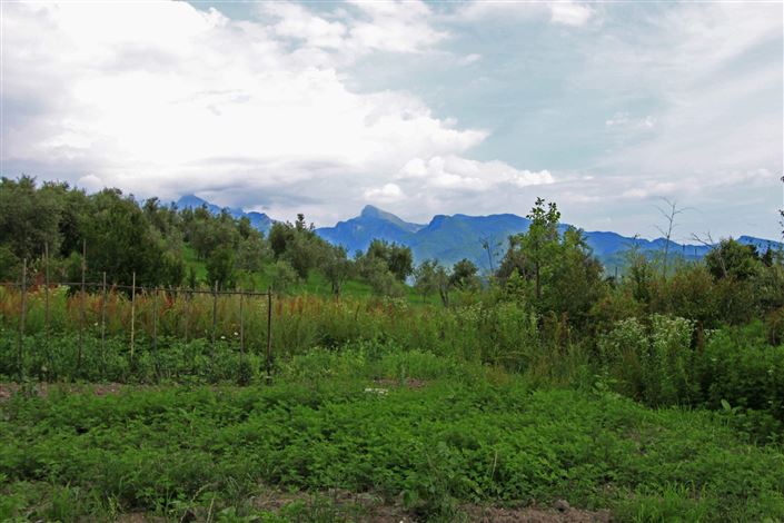 Image No.28-Villa de 15 chambres à vendre à Fivizzano