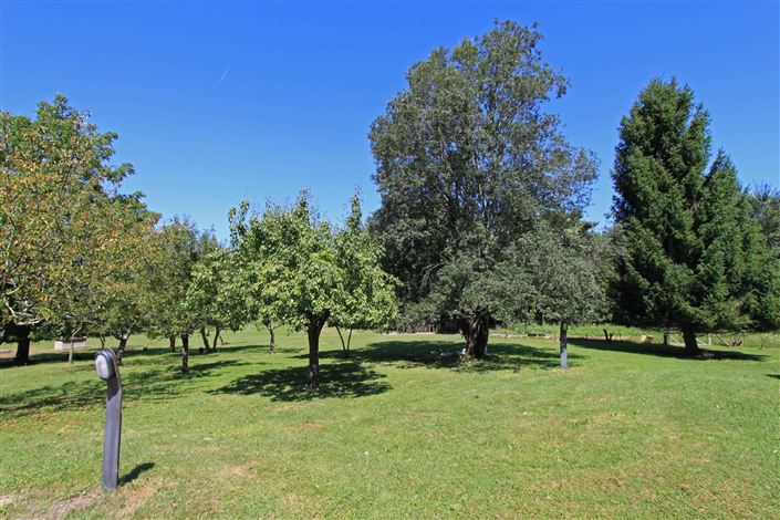 Image No.26-Villa de 6 chambres à vendre à Bagnone