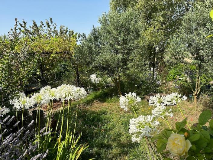 Image No.6-2 Bed Cottage for sale