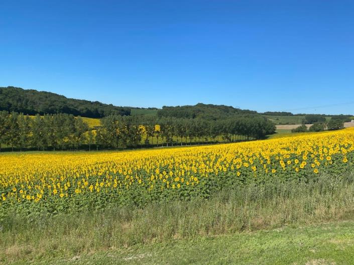 Image No.9-Maison de campagne de 2 chambres à vendre à Salles-Lavalette