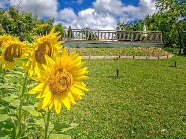 Image No.11-Maison de campagne de 2 chambres à vendre à Salles-Lavalette