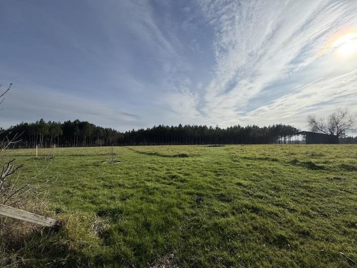 Image No.2-Maison de campagne de 5 chambres à vendre à Saint-Aigulin
