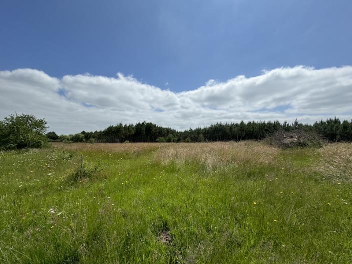 Image No.6-Maison de campagne de 5 chambres à vendre à Saint-Aigulin