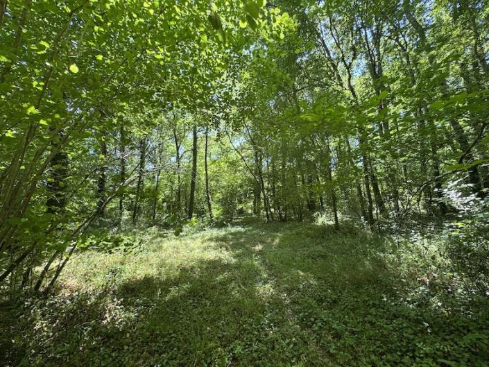 Image No.17-Maison de campagne de 5 chambres à vendre à Montguyon