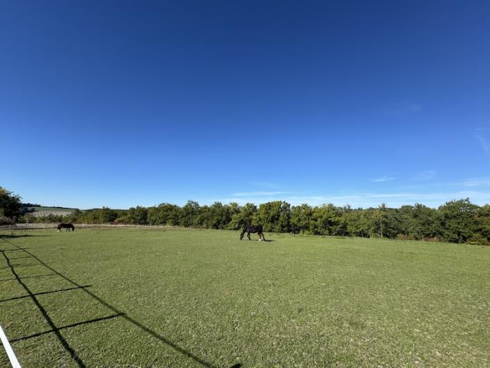 Image No.8-Maison de campagne de 6 chambres à vendre à Brossac