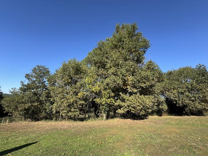 Image No.10-Maison de campagne de 3 chambres à vendre à Saint-Aigulin