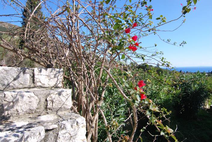 Image No.24-Villa / Détaché de 2 chambres à vendre à Ratzakli