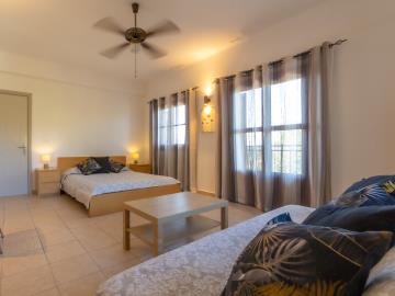 Villa_for_sale_in_Valeriano_Kefalonia--14-