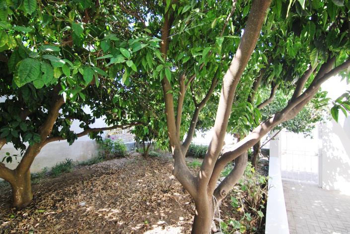 Image No.6-Maison de 2 chambres à vendre à Céphalonie