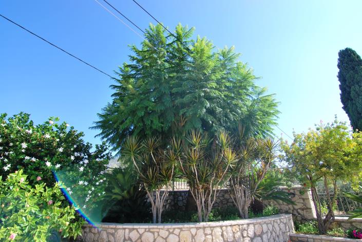 Image No.11-Villa de 2 chambres à vendre à Mavrata