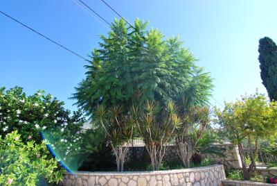 Villa_for_sale_in_Mavrata_Kefalonia--13-