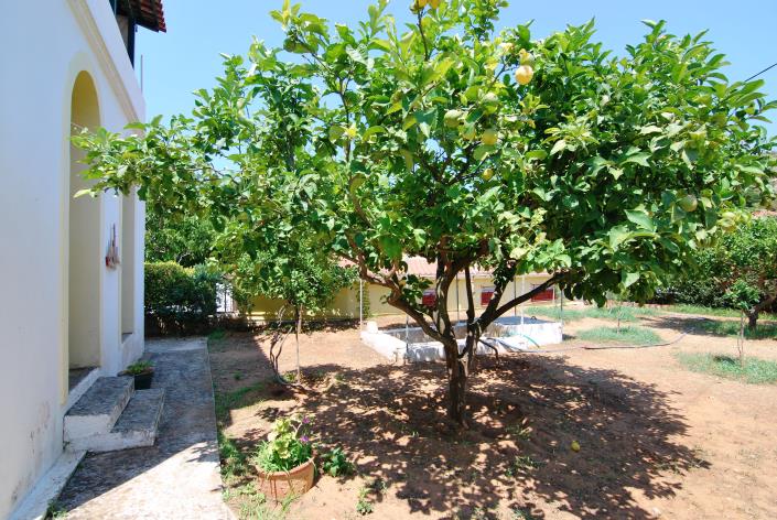 Image No.8-1 Bed Villa / Detached for sale