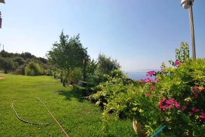 Room_Complex_for_sale_in_Kefalonia--1-