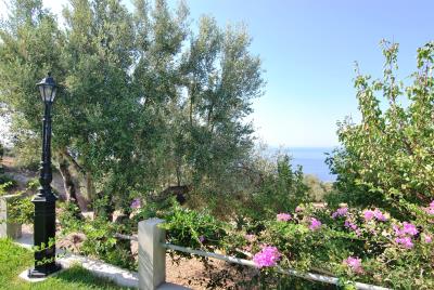 Room_Complex_for_sale_in_Kefalonia--6-