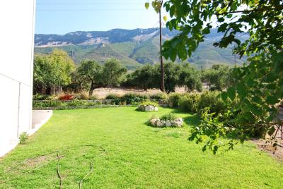 Room_Complex_for_sale_in_Kefalonia--9-