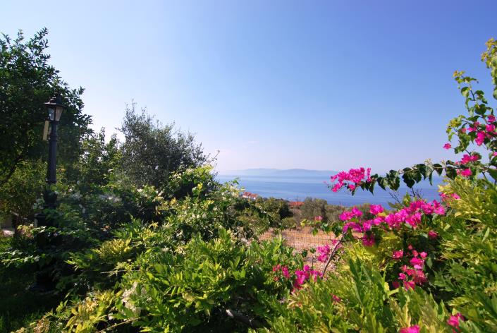 Image No.17-Commercial à vendre à Platies