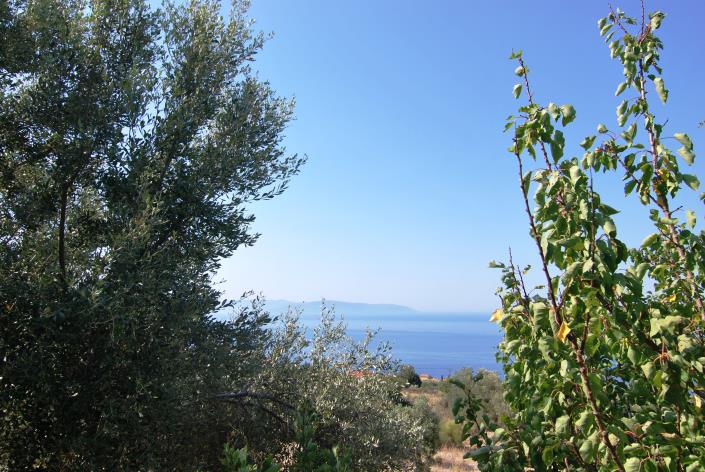 Image No.19-Commercial à vendre à Platies