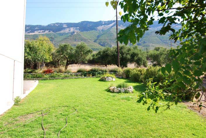 Image No.21-Commercial à vendre à Platies