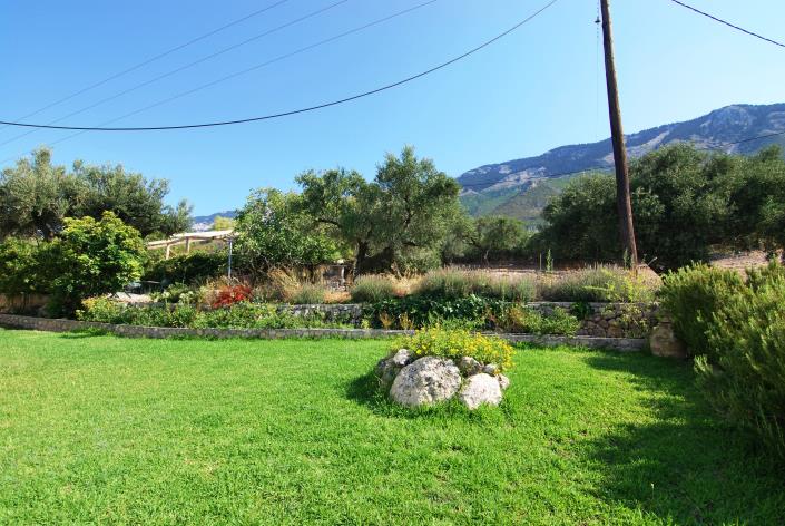 Image No.23-Commercial à vendre à Platies